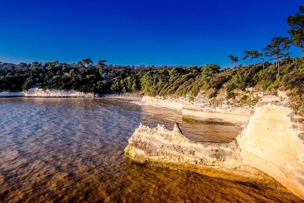 Entre Plage Et Foret - Agreable T3 Сен-Жорж-де-Дидон Экстерьер фото
